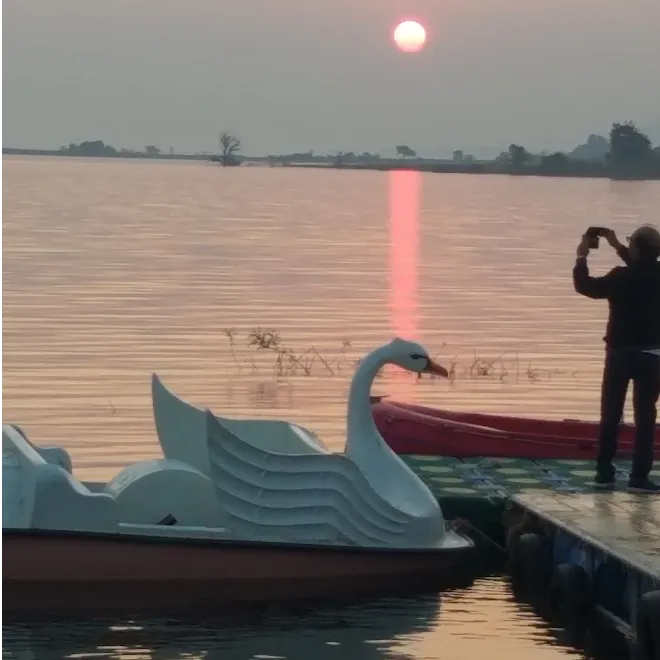Paddle Boat